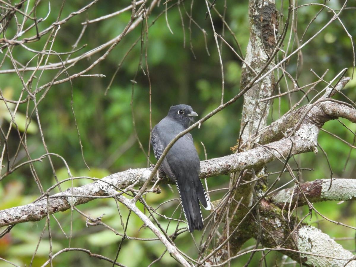 Finca La Puesta Del Sol - Miramar De Sierpe エクステリア 写真
