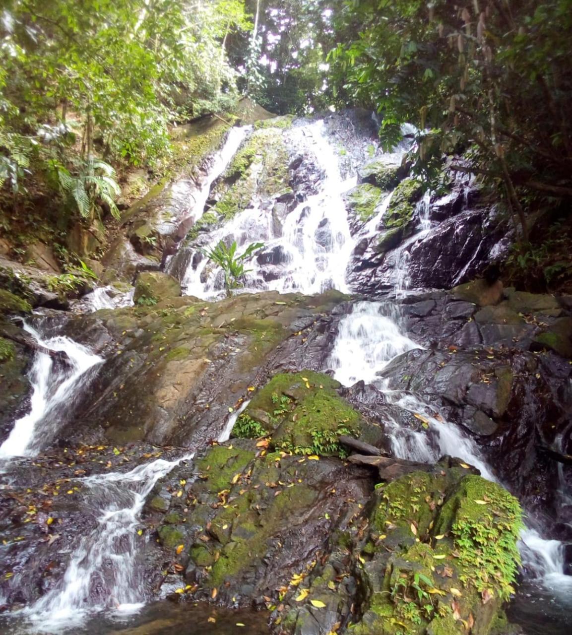 Finca La Puesta Del Sol - Miramar De Sierpe エクステリア 写真