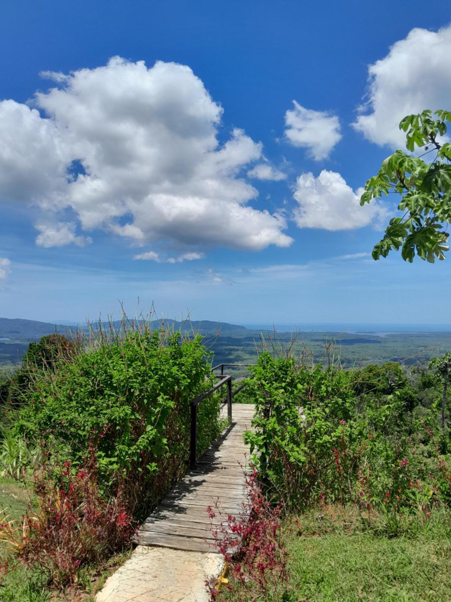 Finca La Puesta Del Sol - Miramar De Sierpe 部屋 写真