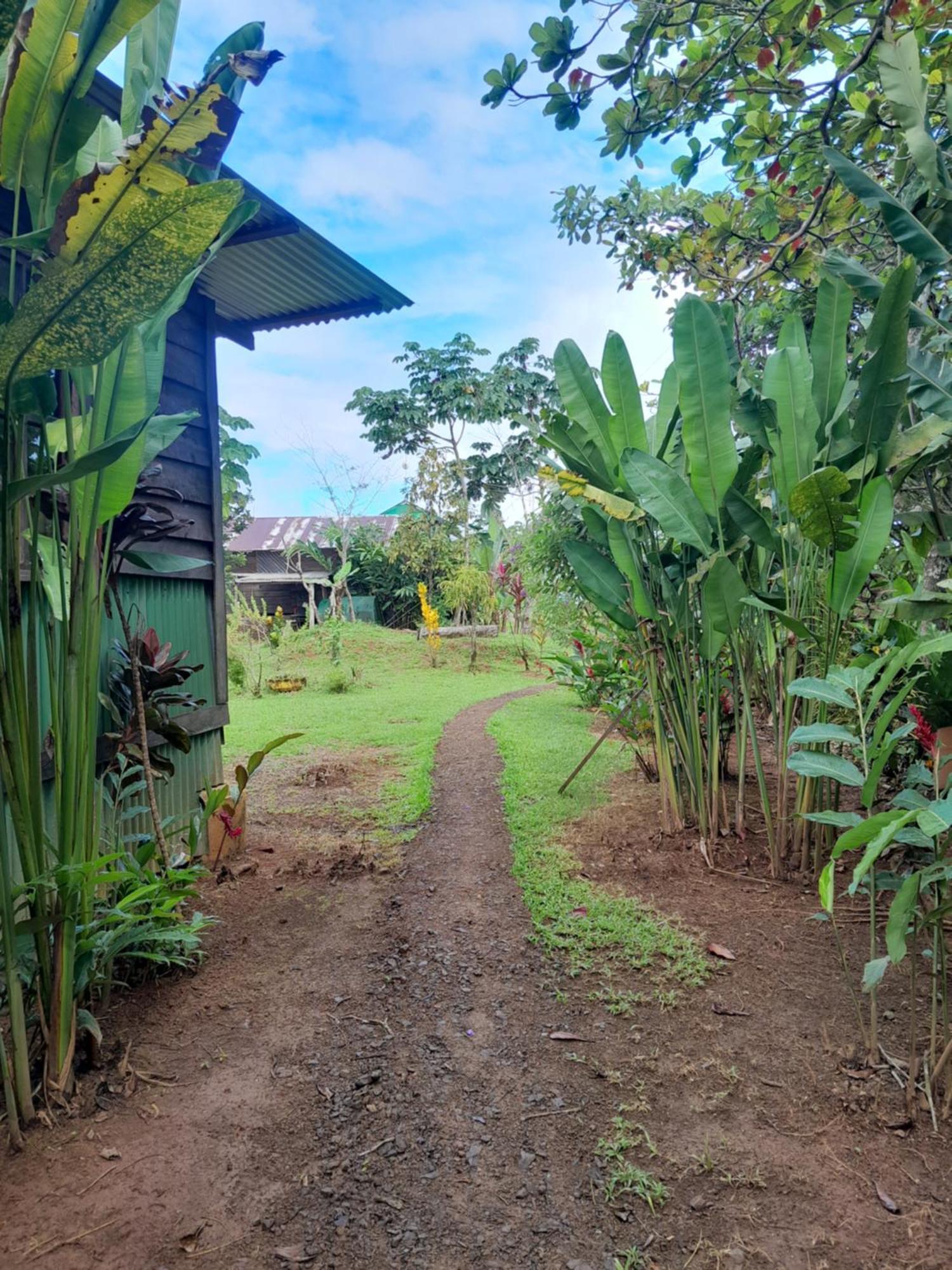 Finca La Puesta Del Sol - Miramar De Sierpe 部屋 写真