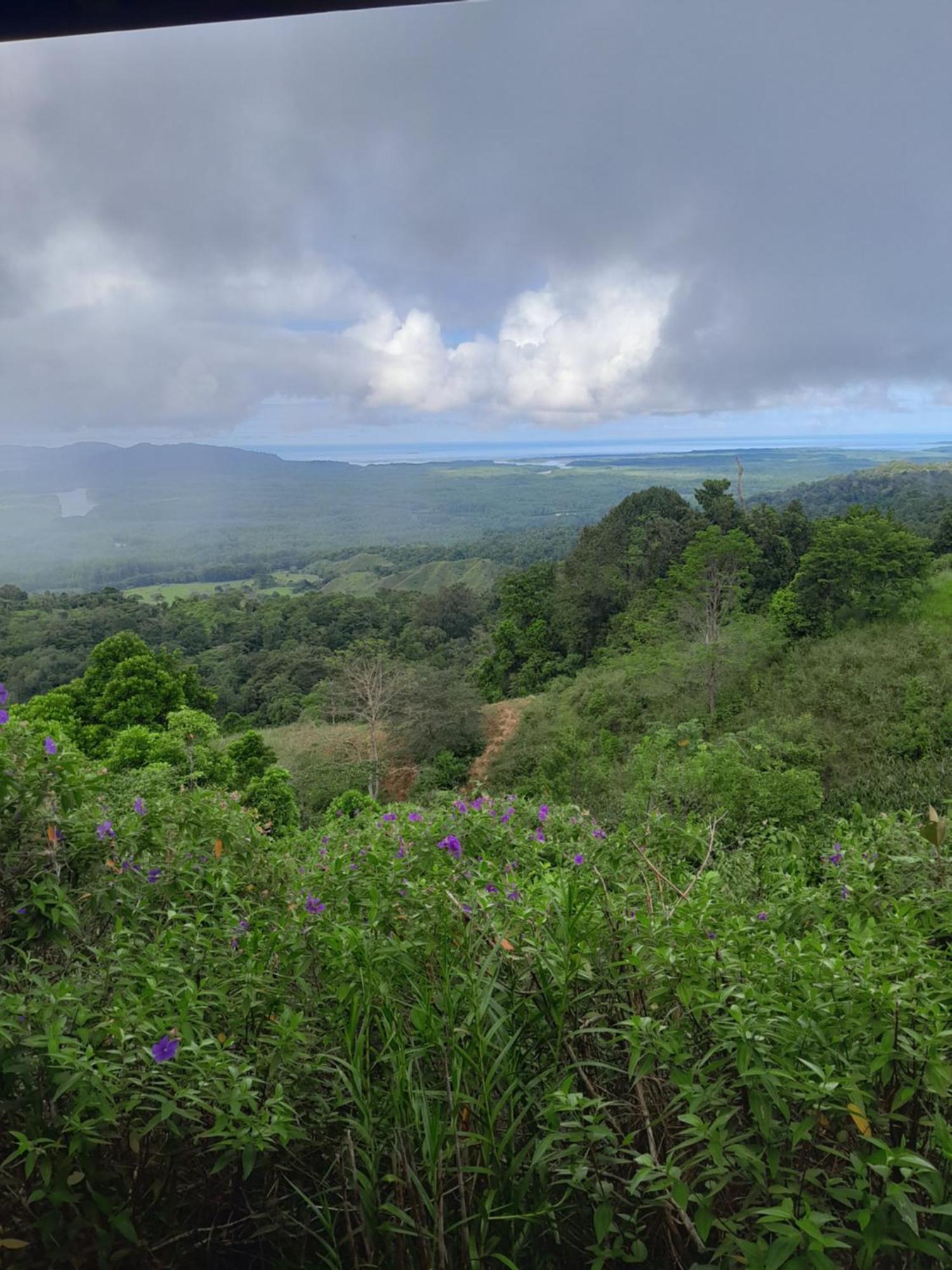 Finca La Puesta Del Sol - Miramar De Sierpe 部屋 写真