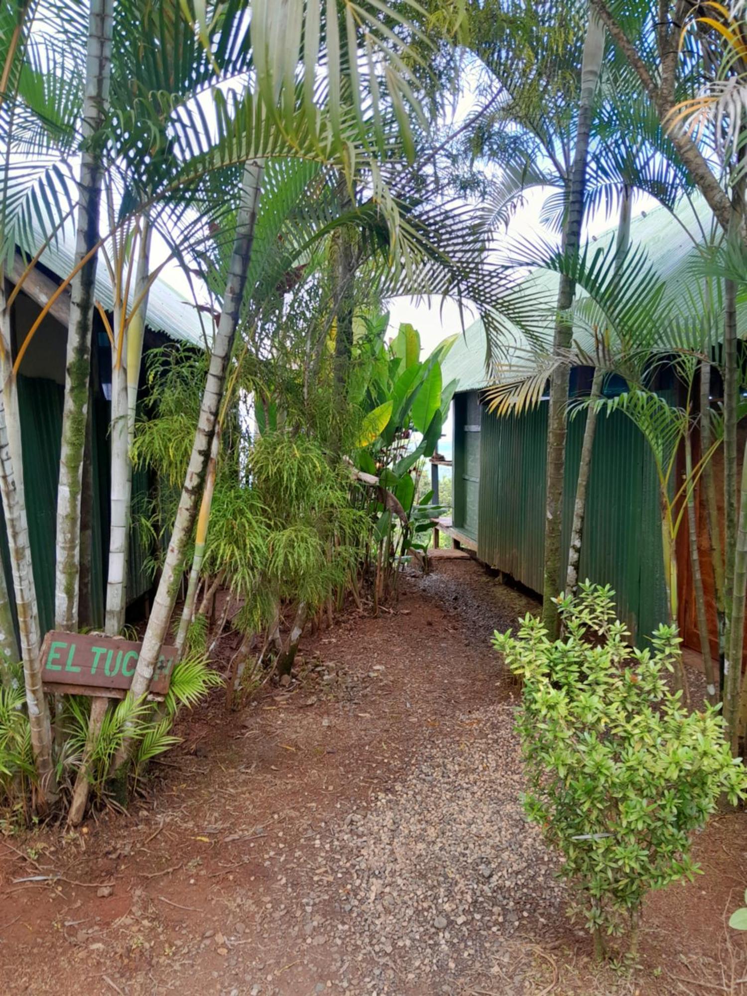 Finca La Puesta Del Sol - Miramar De Sierpe 部屋 写真