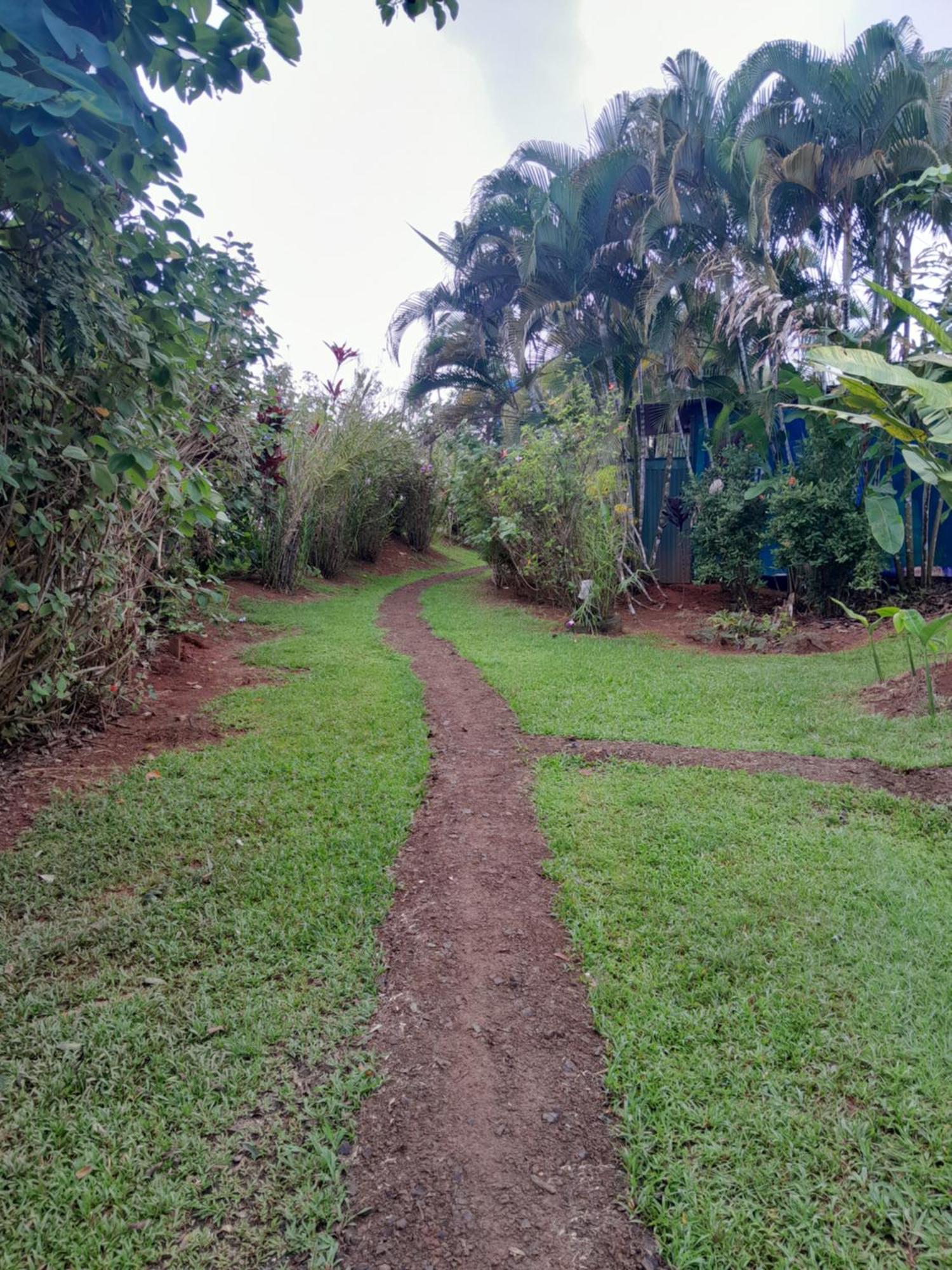 Finca La Puesta Del Sol - Miramar De Sierpe 部屋 写真