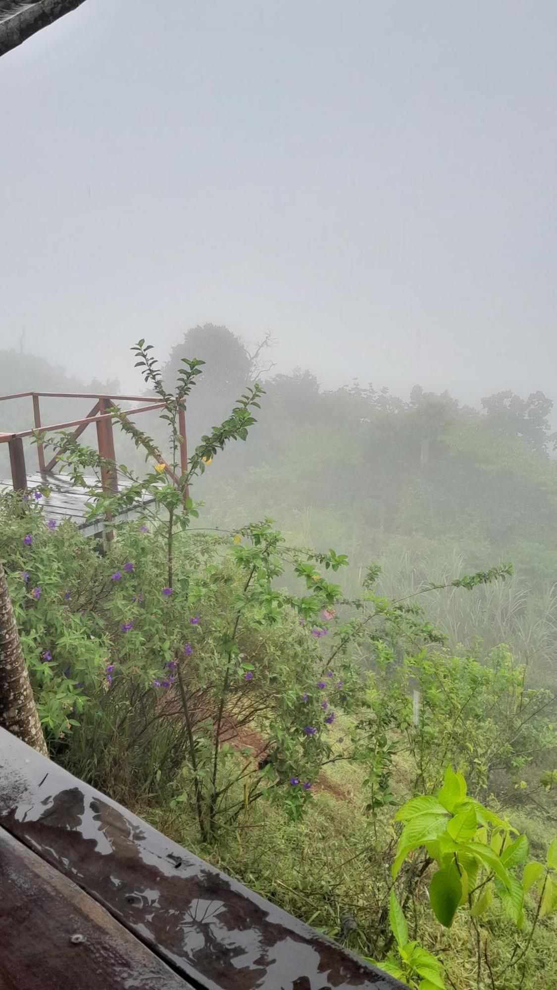Finca La Puesta Del Sol - Miramar De Sierpe 部屋 写真